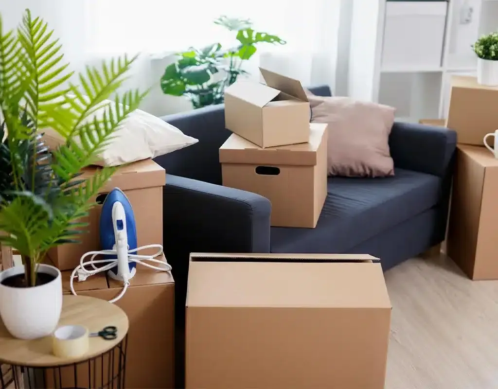 Wohnzimmer mit gepackten Umzugskartons vor dem Privatumzug